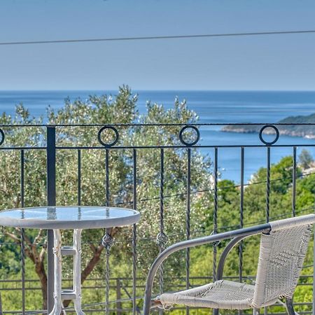 Villa Old Olive Budva Exterior photo